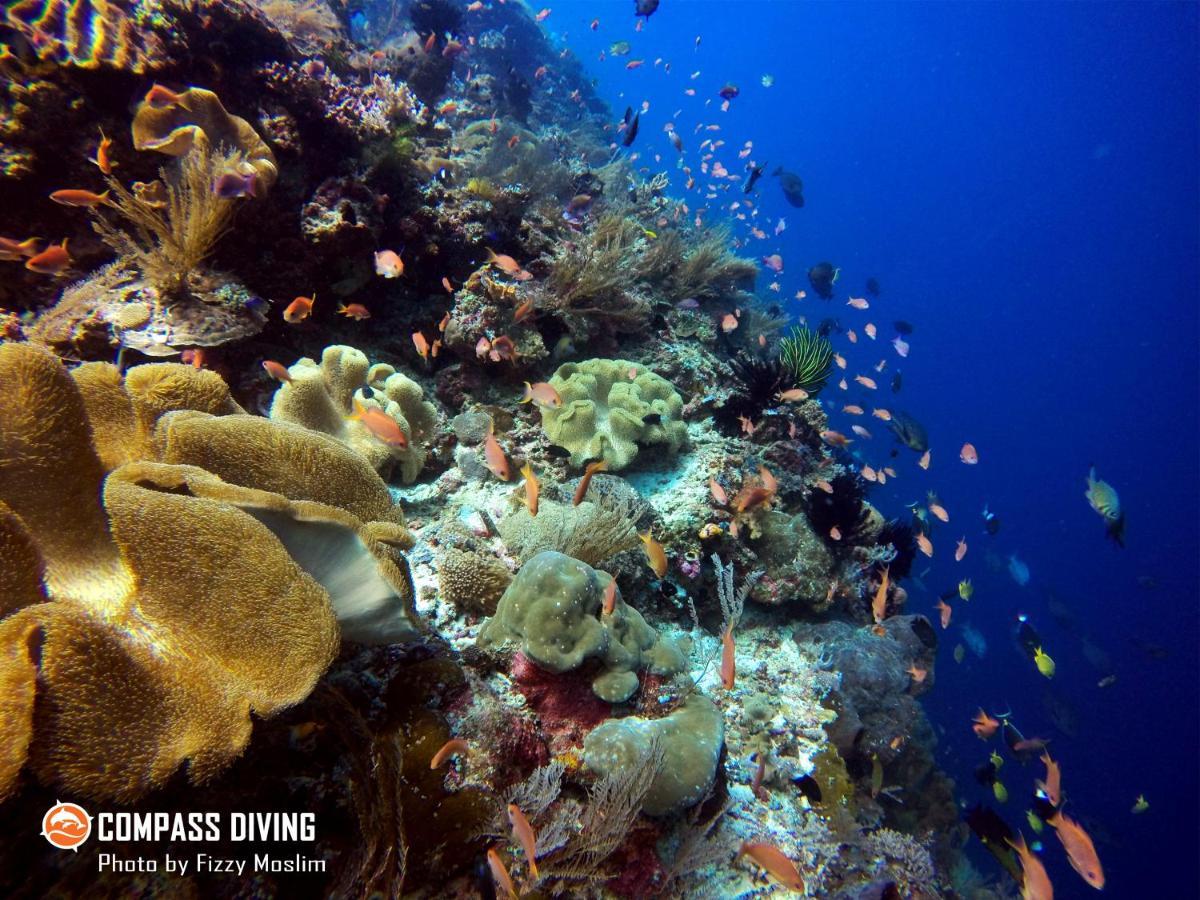Compass Diving Resort Beloi Εξωτερικό φωτογραφία